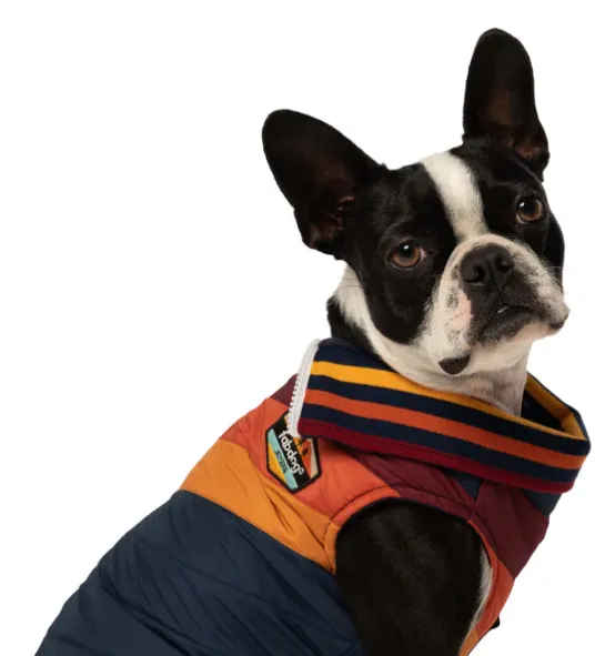 FabDog Chevron Coat Melon