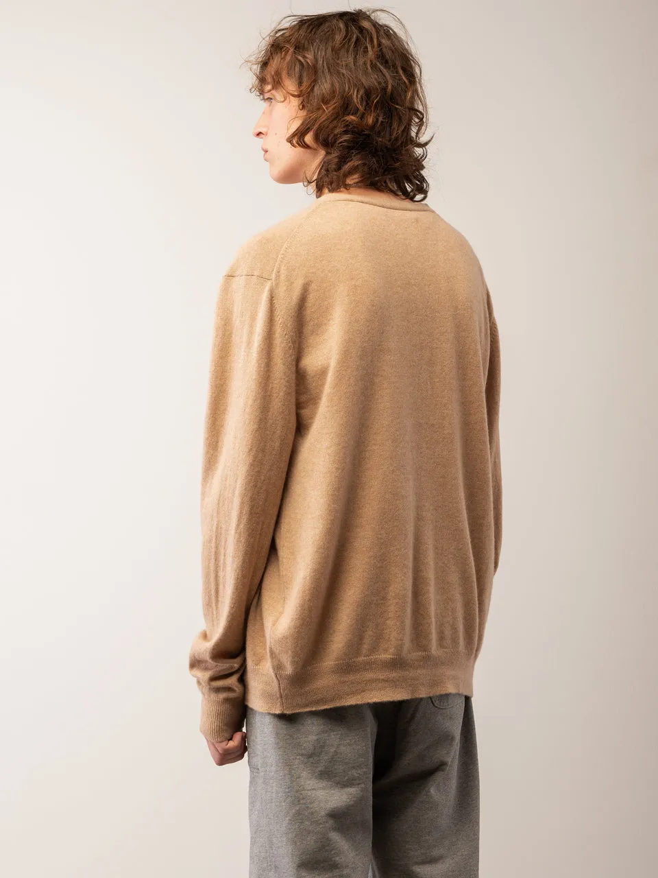 Men V Neck Cardigan_Camel